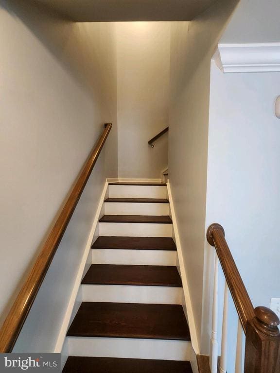 Photo - 729 Olive Wood Ln