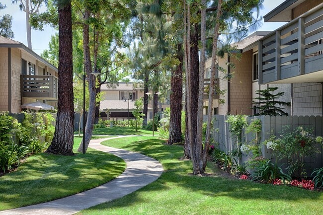 Timbers Apartments, El Toro
