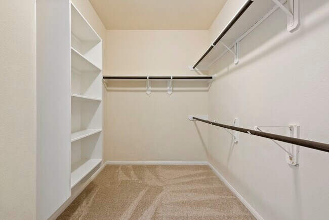 Building Photo - 3310 Retama Falls Ln