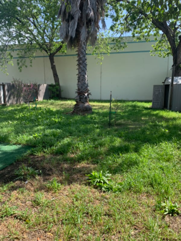 Photo - 218 Bella Vista Rd Unit 218