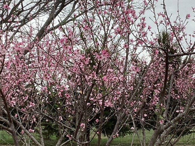 Building Photo - 739 Proctor Ln