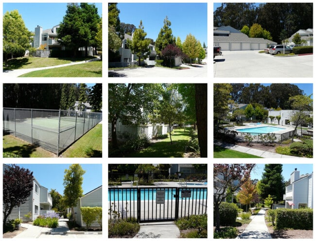 Complex Amenities - 2623 Willowbrook Ln Unit 121