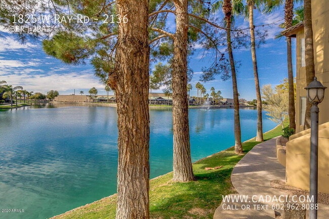 Photo - 1825 W Ray Rd Unidad 2136