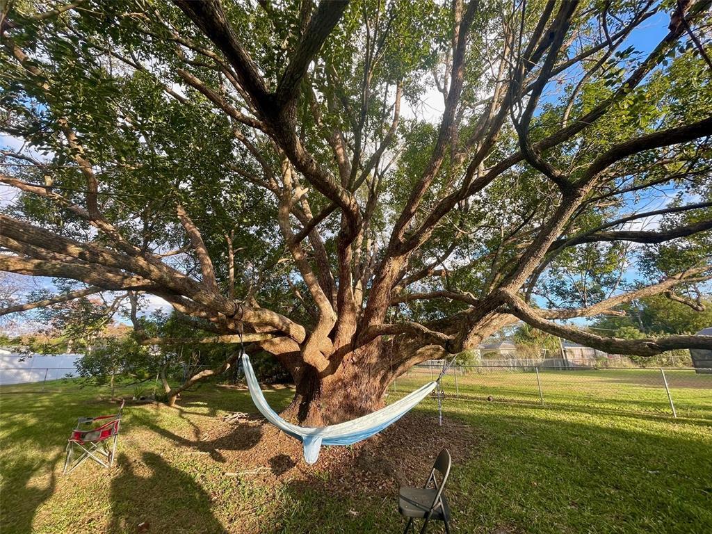 Photo - 950 Hedgewood Ct