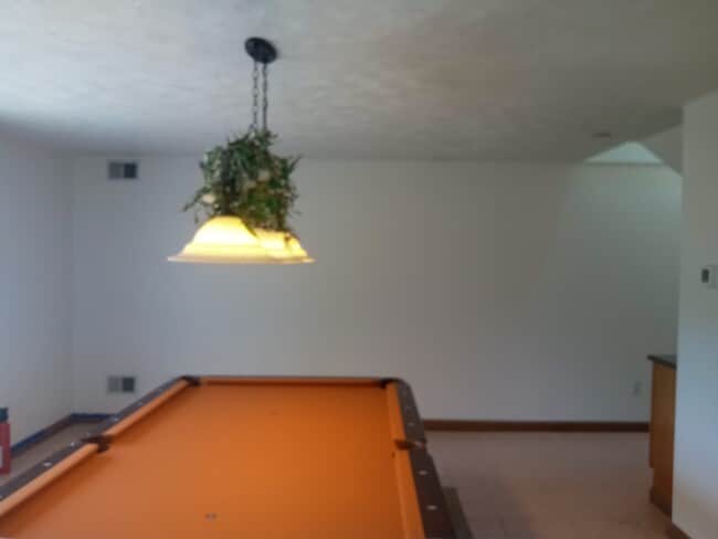 Photo - 4518 Liberty Ave Unit 2