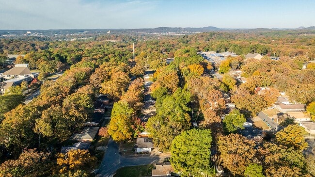 Photo - Midtown 3BR Near UAMS w/ Hardwoods, W/D, & Fenced Yard