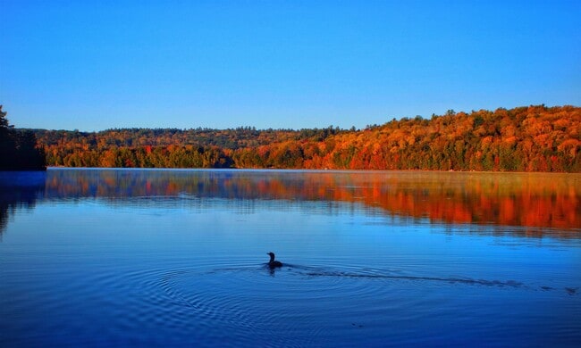 Photo - 619 Otter Rd