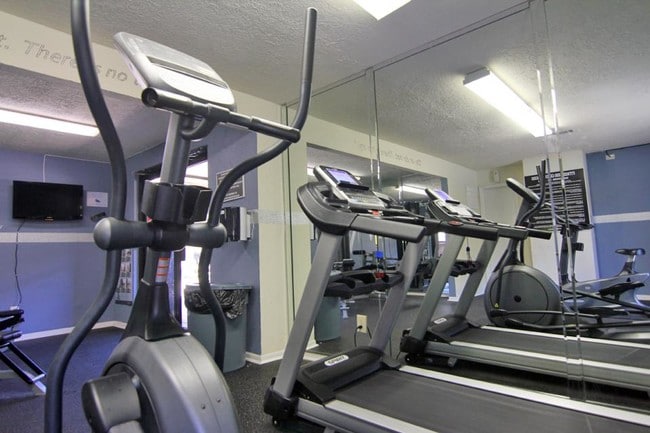 Photo - Gladstell Forest