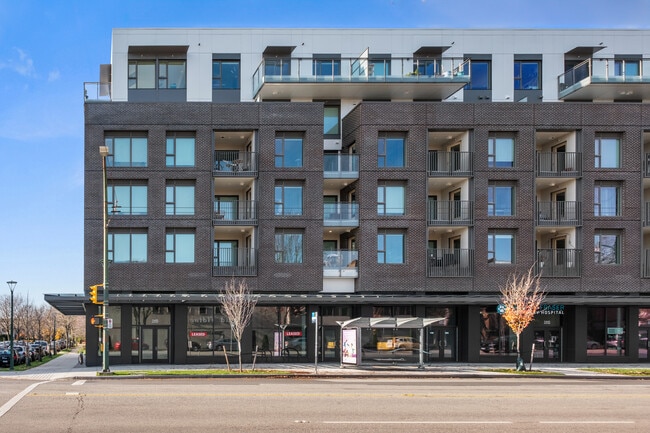 Photo - Comma Fraser Unité 506