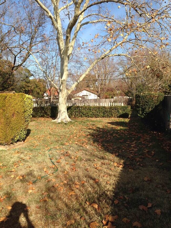 Photo - Updated 3 Bedroom 1.5 Bathroom Home in Desirable Arden Park!