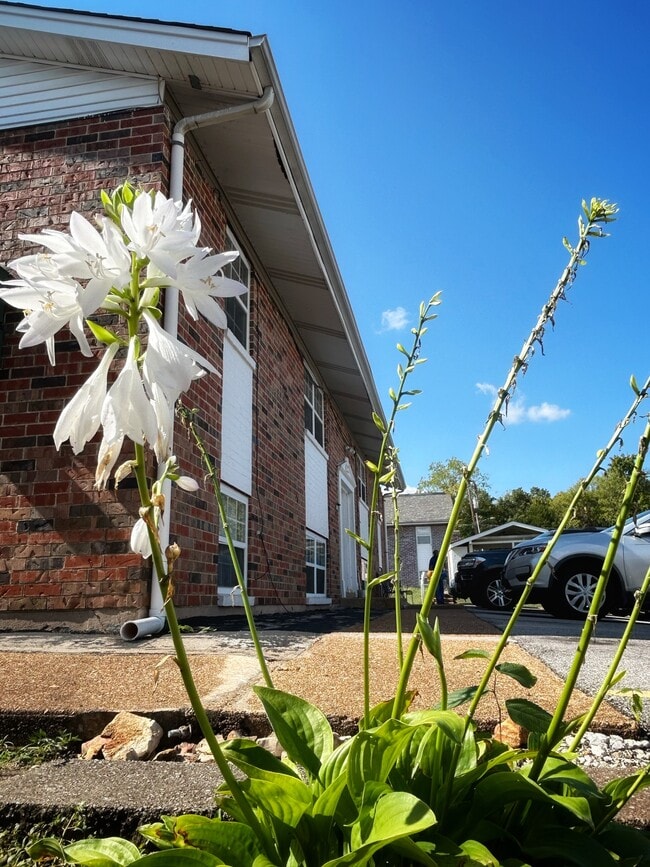 Gravois Point Apartments