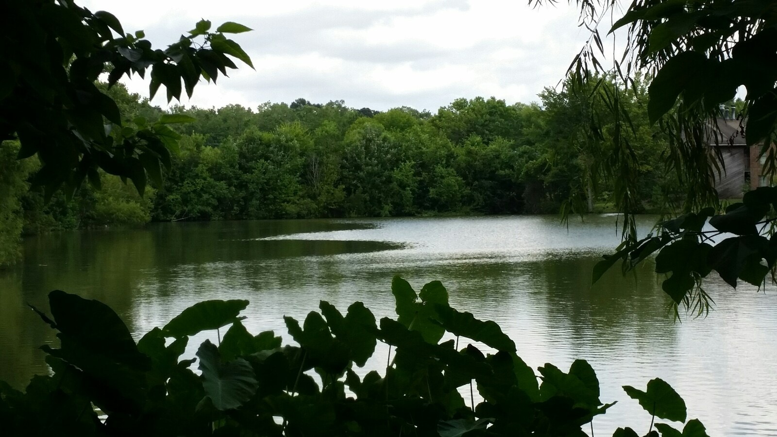 Photo - Waterside Condominiums