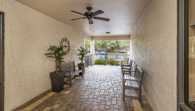 Photo - Silvertree Tampa