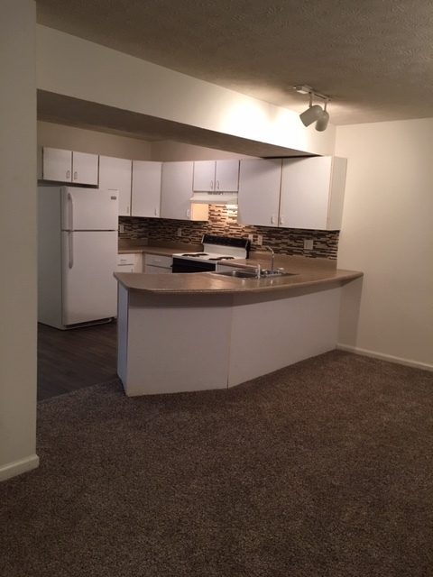 Gorgeous large kitchen with new countertops - 1402 3rd Ave Apartamentos