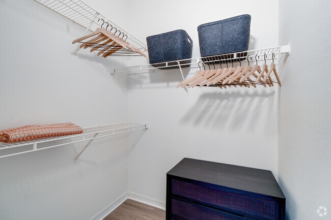 1BR, 1BA - 871SF - Closet