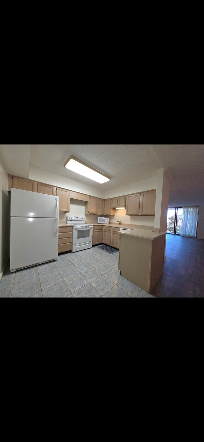 Kitchen - 3115 Patrick Henry Dr Unit Chateaux #520