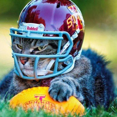 Photo - 2406 Ferndale Ave