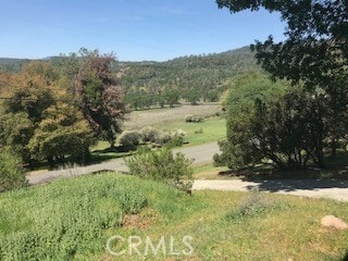 Photo - 16456 Conestoga Rd