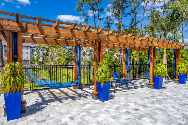 Hammocks At Pool