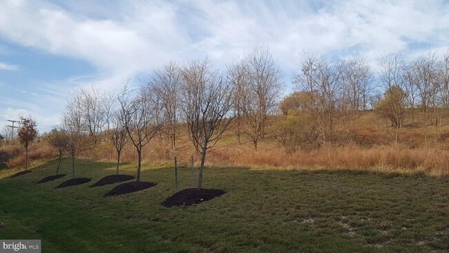 Photo - 7220 Maidstone Pl