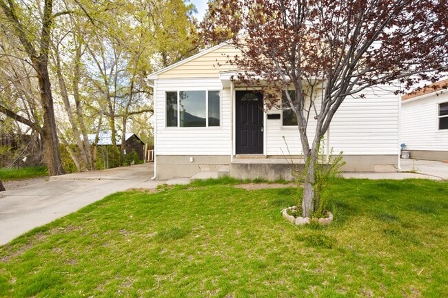 263 Maple St