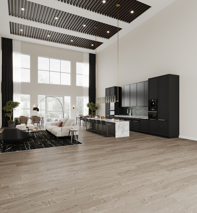 Photo - Salix on Vine