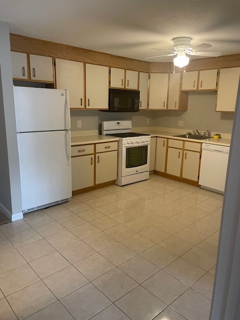 Building Photo - 3 New Haven Dr Unit 203 Rental