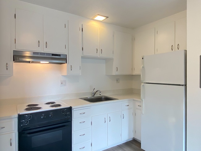 Photo - HUGE Stunning Remodeled 1BR/1BA Flat! Parking! -PROGRESSIVE Unit A