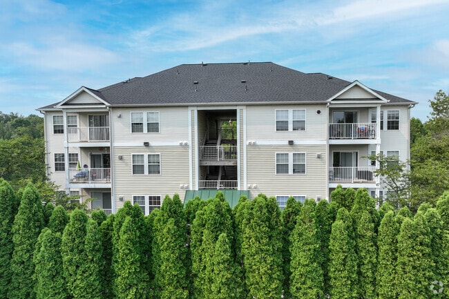 Ashburn Meadows