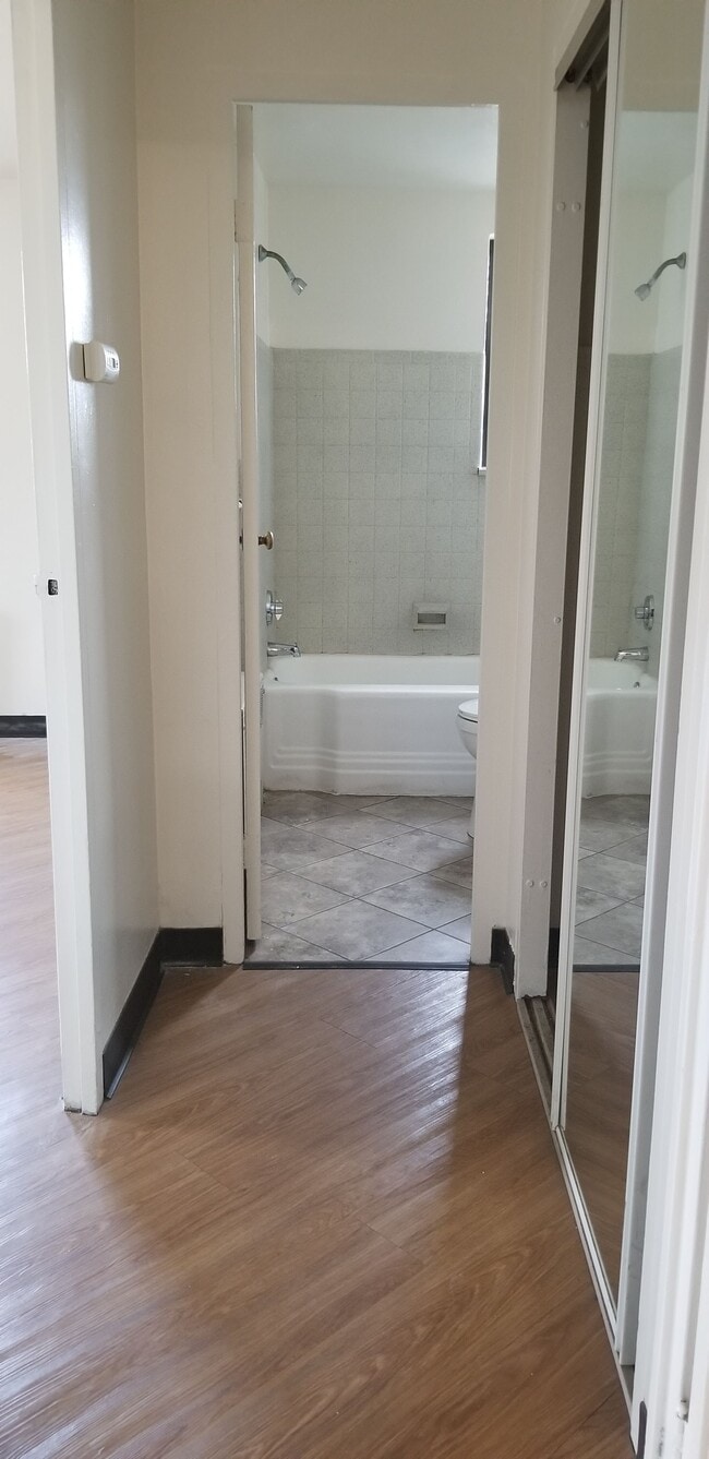 Photo - Webster Tower