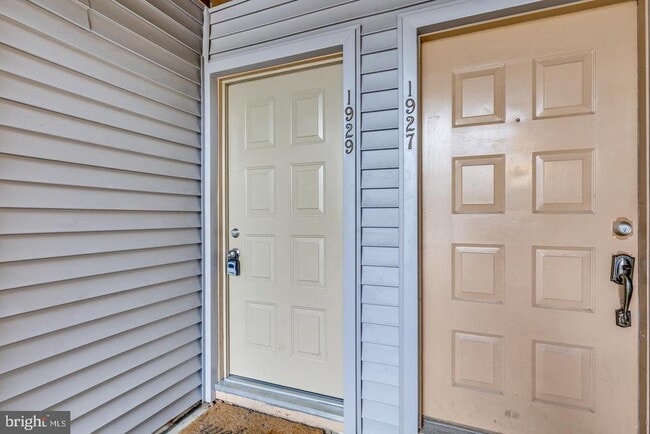 Photo - 1929 The Woods II