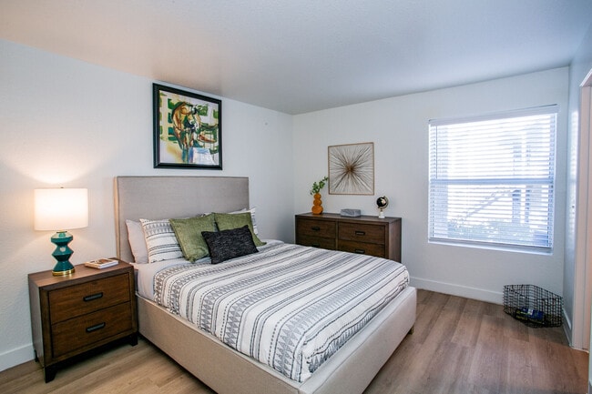 The Quinn
