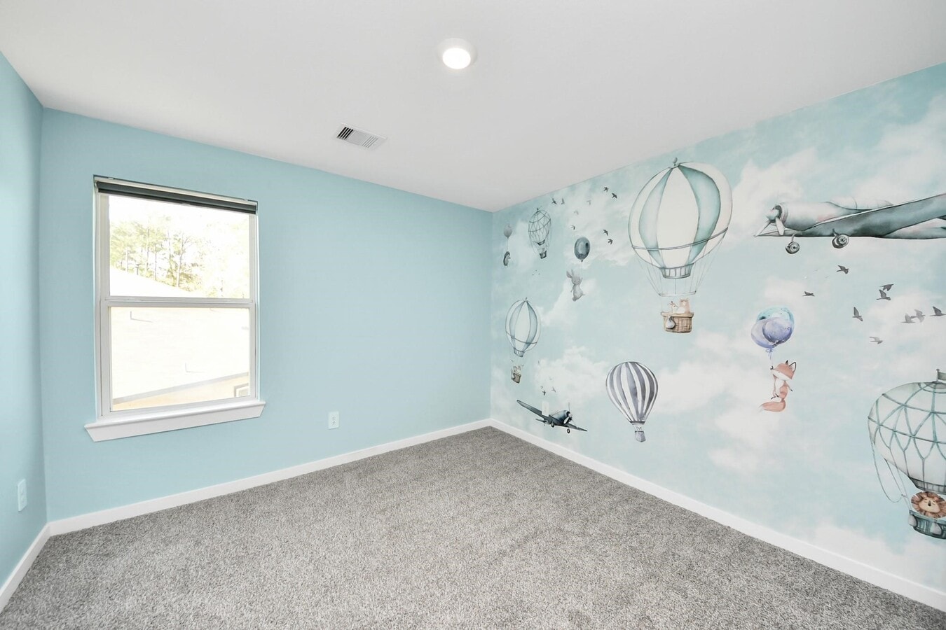 Photo - 10438 Plateau Pt Trl