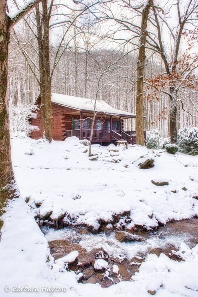 Photo - 1364 Herron Branch Rd