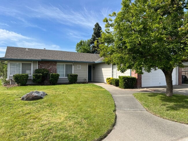 Building Photo - Updated 3 bedroom single story in Manteca!