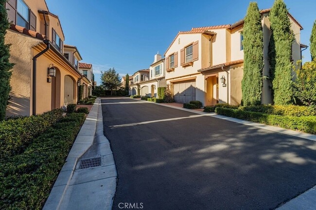 Photo - 125 Waterleaf