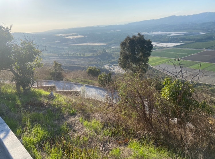 Photo - 7979 Worth Way