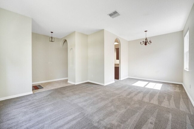 Photo - Available December 10th!