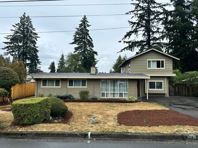 Building Photo - 4Bd/2Ba Bellevue Home