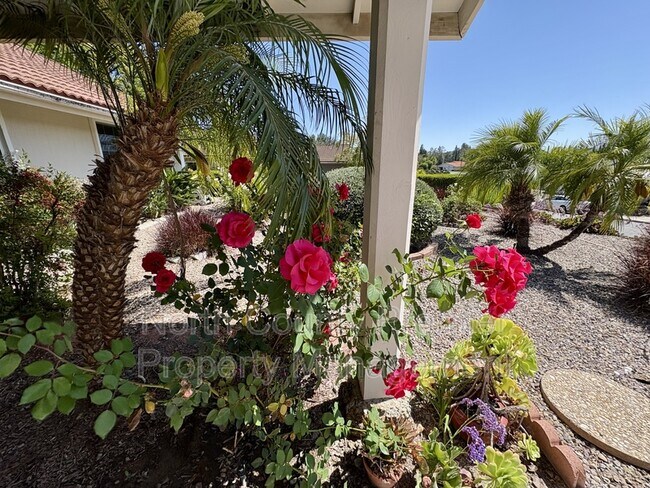 Photo - 17873 Sintonte Dr