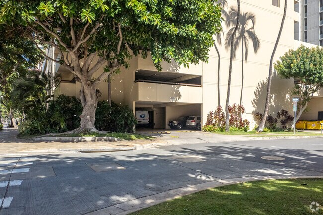 Photo - The Four Paddles