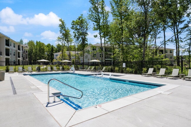 Photo - Laurel at the Woodlands