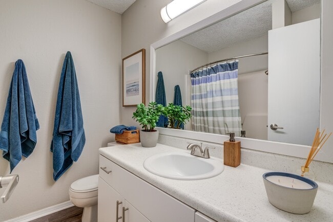 Renovated Bathroom