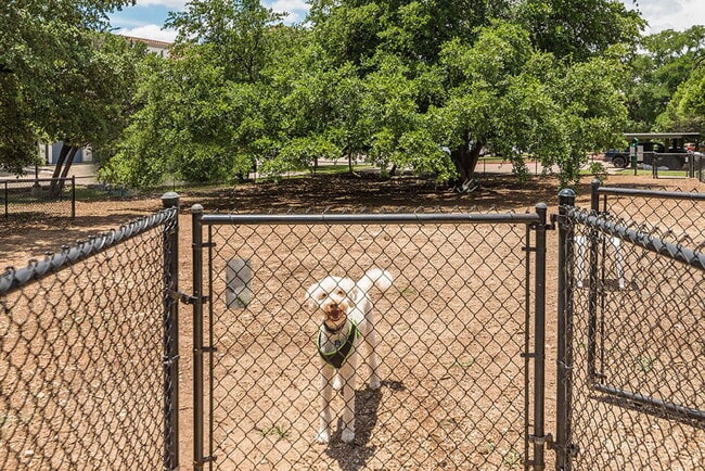 Paseo at Bee Cave