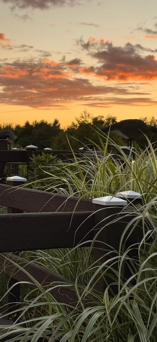 Photo - 600 Lynda Maria Ln