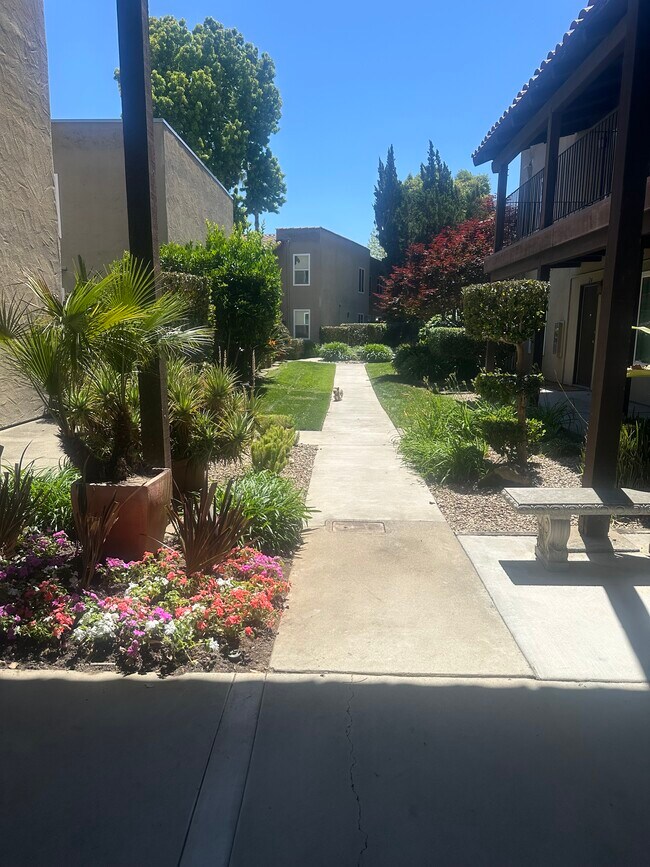 Mediterranean Village and Dos Robles