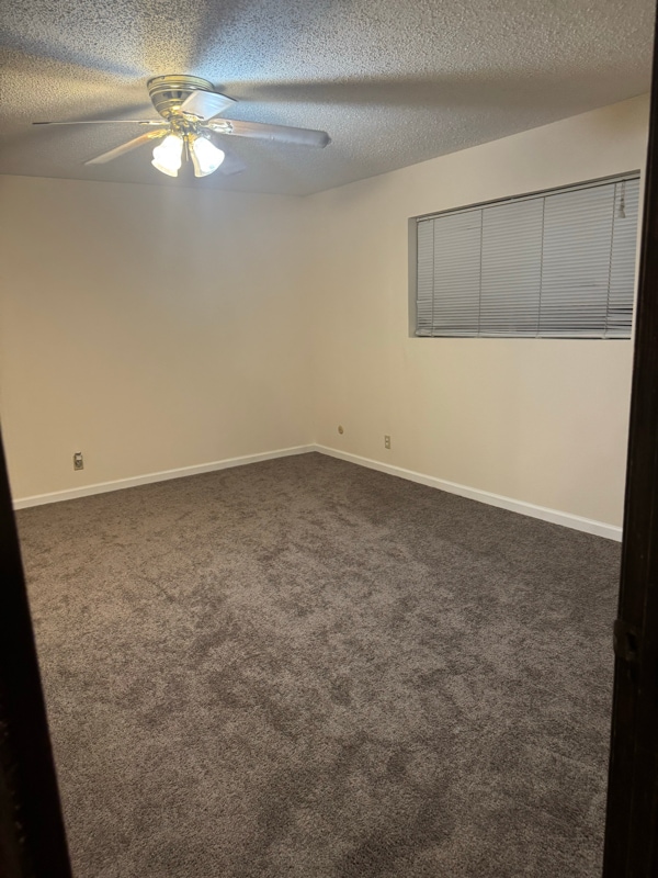 Photo - 110 Farm to Market 82