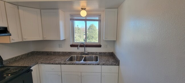 NEW counter tops, sink and faucet. Nice view out the back. - 6646 Provincial Dr Unit 6646