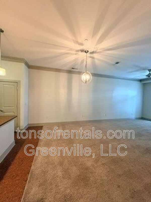 98 E McBee Ave. Unit 408
