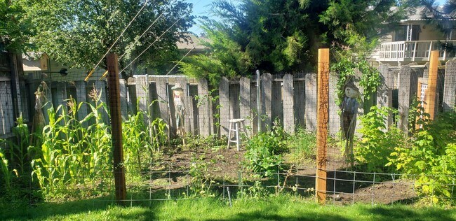 Photo - Beautifully updated 3 bed/ 2 bath house wi...